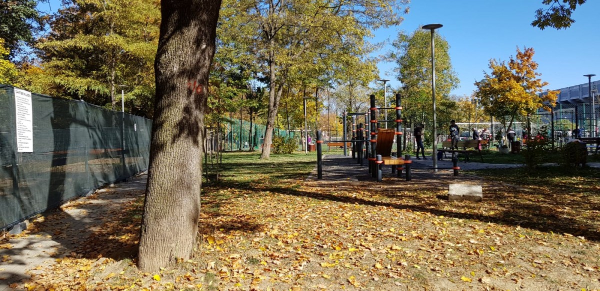 FOTO-În sfârșit vom avea WC public în Parcul Sub Arini. În două luni
