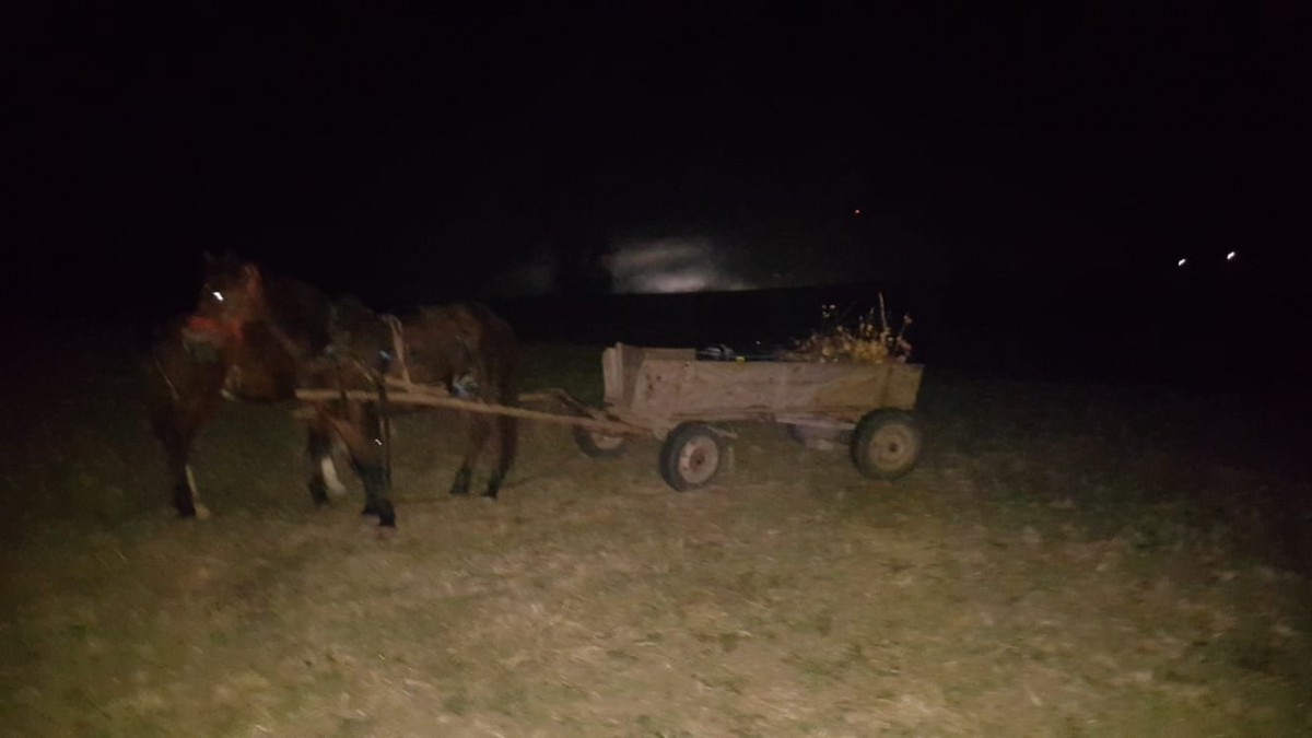 Un bărbat a ajuns la spital, după ce a intrat cu căruța într-o mașină