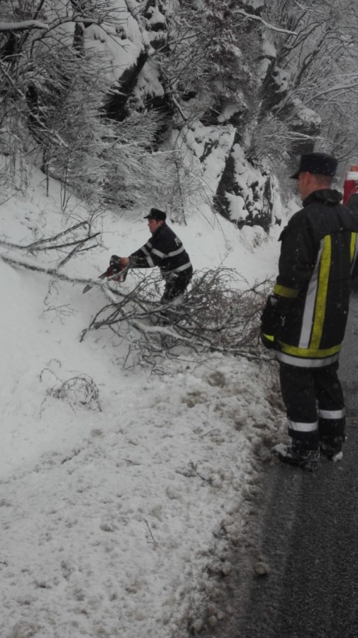 Trafic blocat total pe Valea Oltului. Se eliberează drumul de crengi căzute