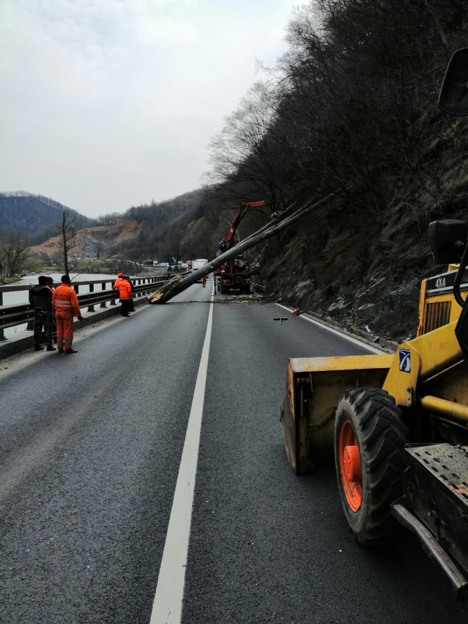 Trafic blocat pe DN 7. Se toaletează arborii la intrarea în județ