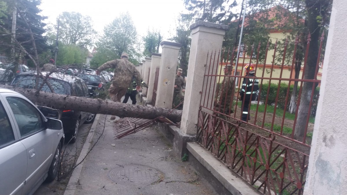 GALERIE FOTO-Trafic blocat complet pe Ștefan cel Mare. Vântul a doborât un copac peste două mașini