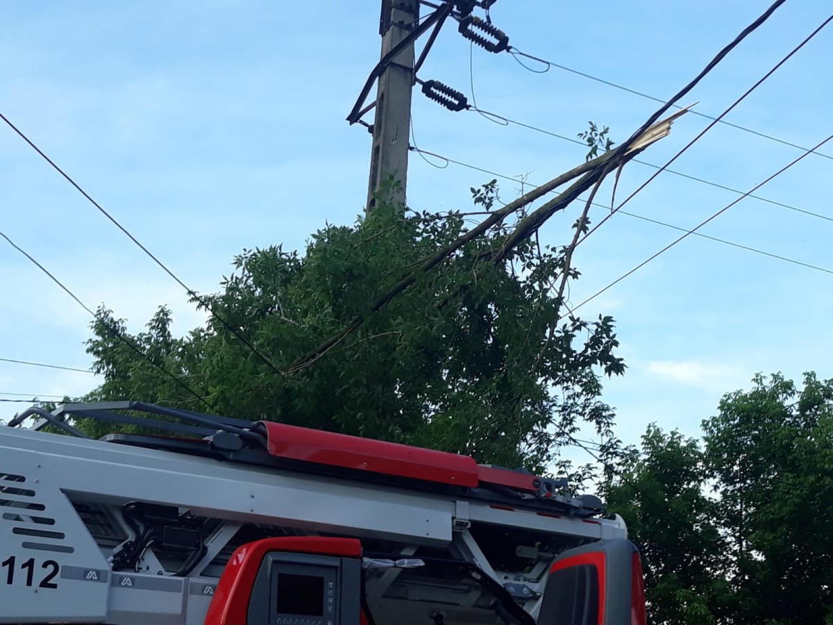 Brad de nouă metri în pericol de cădere, înlăturat de pompierii sibieni