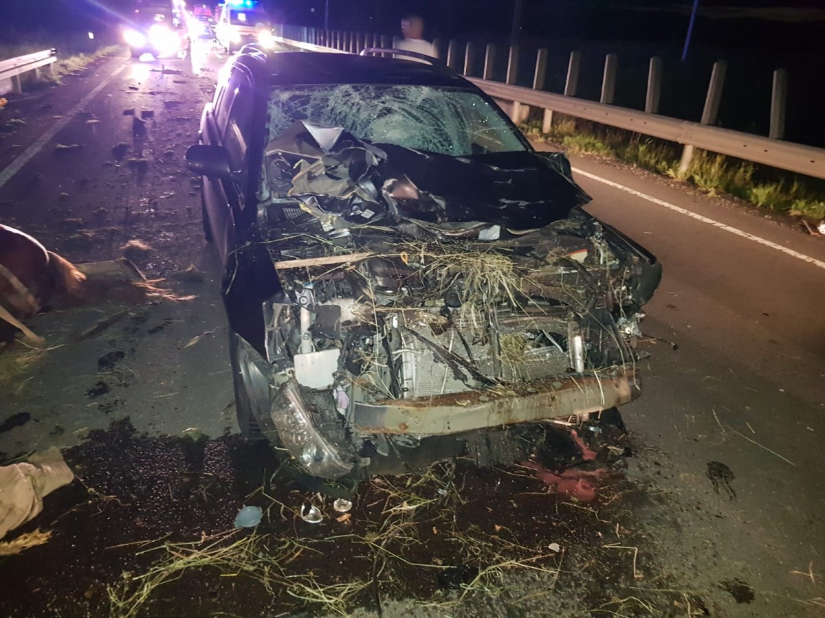 Accident teribil din cauza unui căruțaș inconștient: Doi copii sunt grav răniți