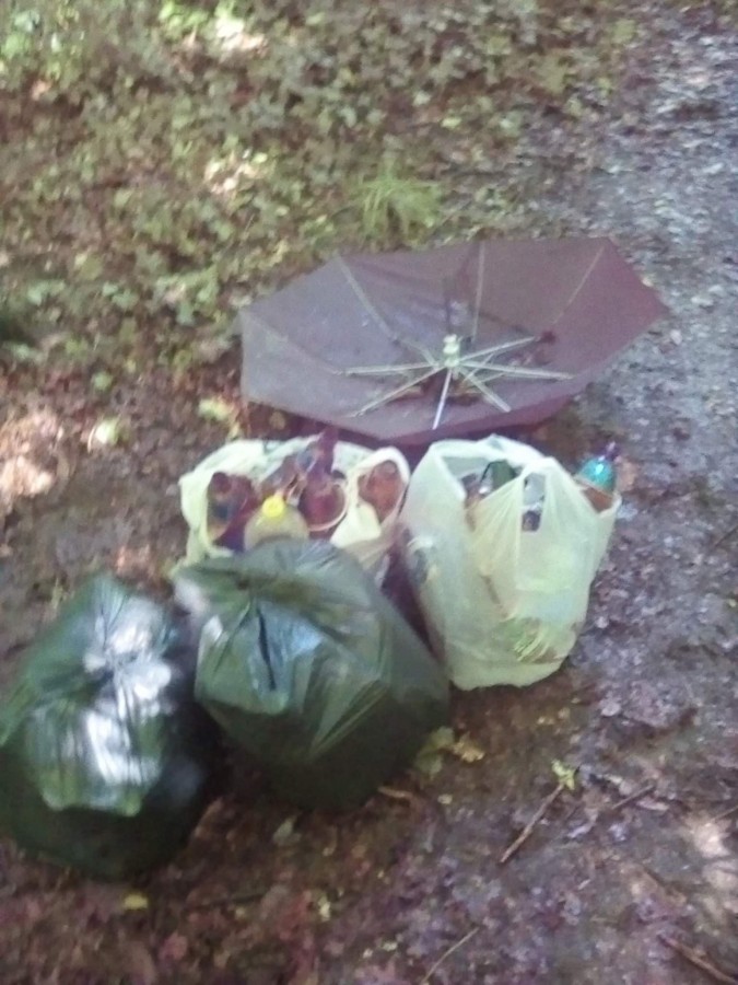Un sibian a adunat gunoaiele lăsate în pădure de tineri. „Arată locul de zici că a plouat cu pet-uri”