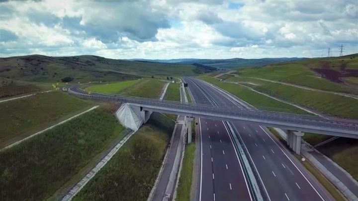 Accident provocat de un câine pe autostrada Sibiu-Sebeș. CNAIR obligată la despăgubiri în instanță