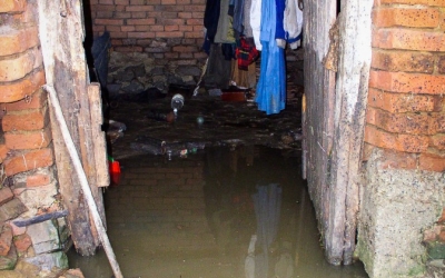 Probleme în mai multe gospodării, în urma ploii puternice
