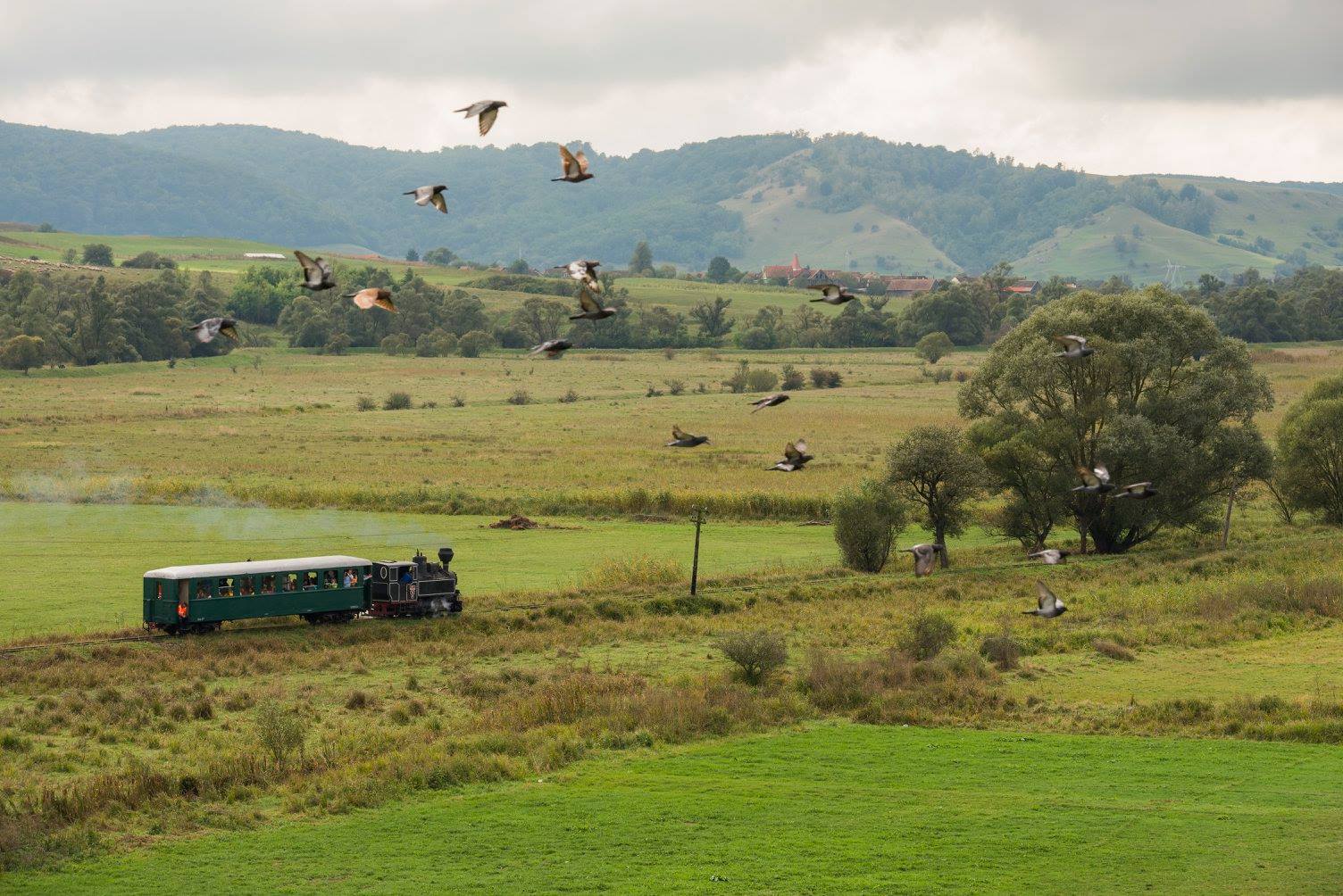 Mihai Blotor, Prietenii Mocăniței: ”Oau, ce proiect frumos! Nu vă putem ajuta!”