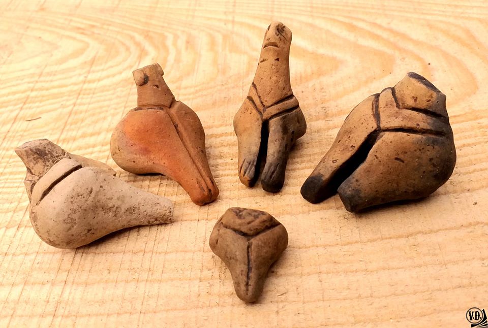 Descoperire arheologică majoră: urmele unui sat preistoric vechi de 6500 de ani, descoperite la Toplița