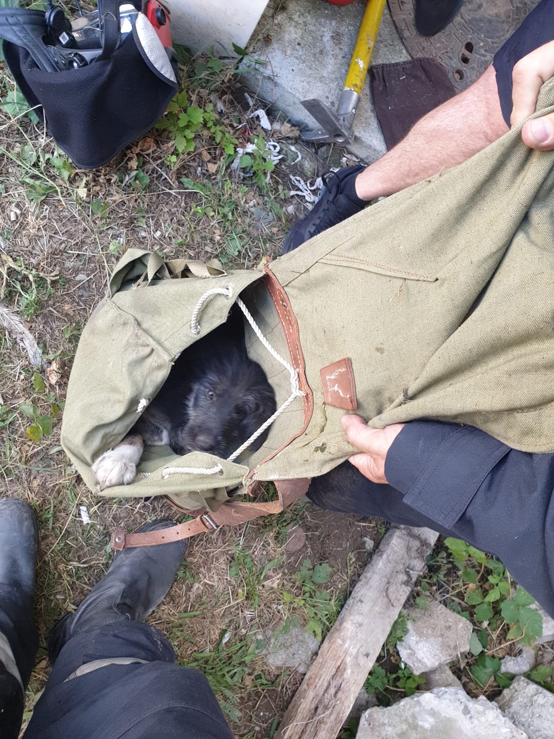 Misiune dificilă a pompierilor sibieni, cu final fericit. Mai mulți căței au fost salvați dintr-un subsol