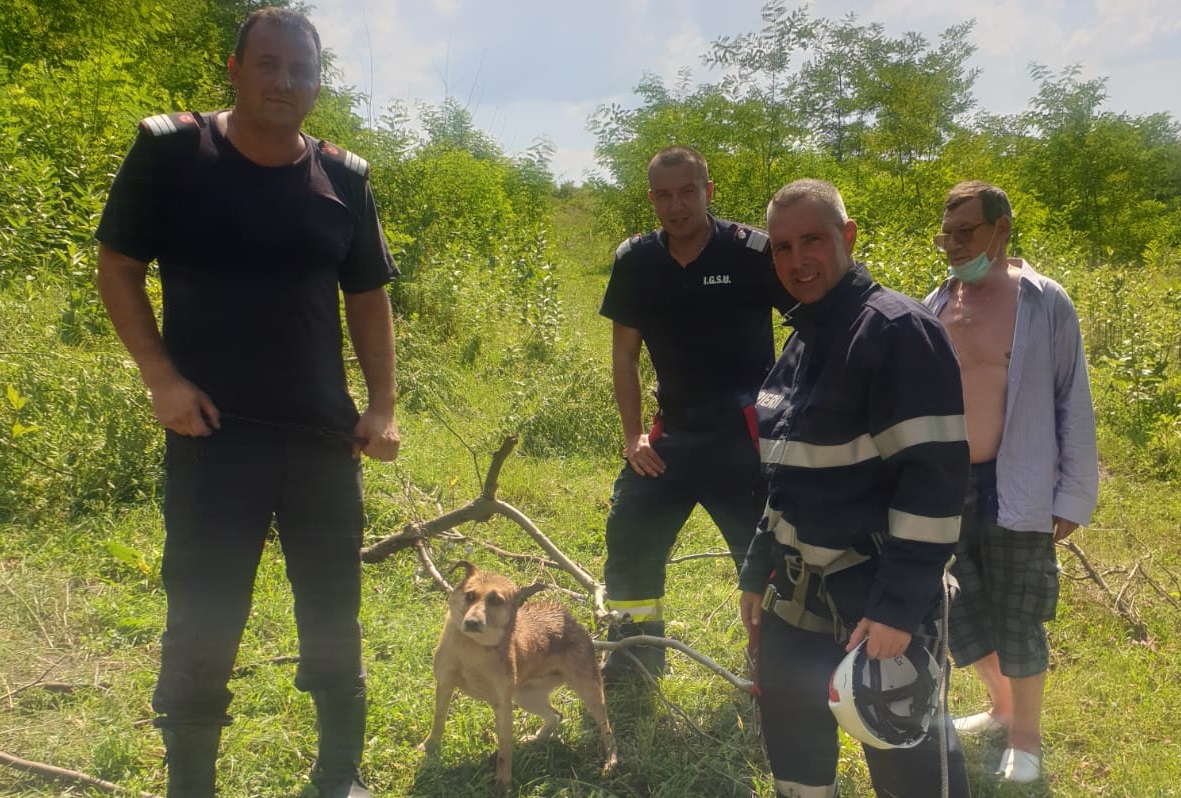 Video/ Câine căzut într-o fântână, salvat de pompierii sibieni