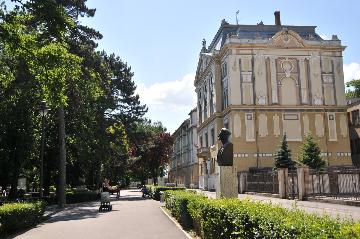 Parcul Astra va intra în lucrări timp de un an: ”sunt necesare lucrări de reamenajare”