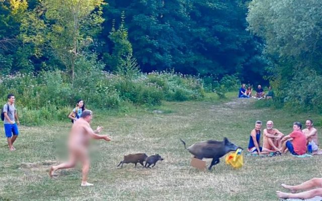 FOTO VIRAL - Un bărbat dezbrăcat aleargă după un mistreț, într-un parc din Berlin
