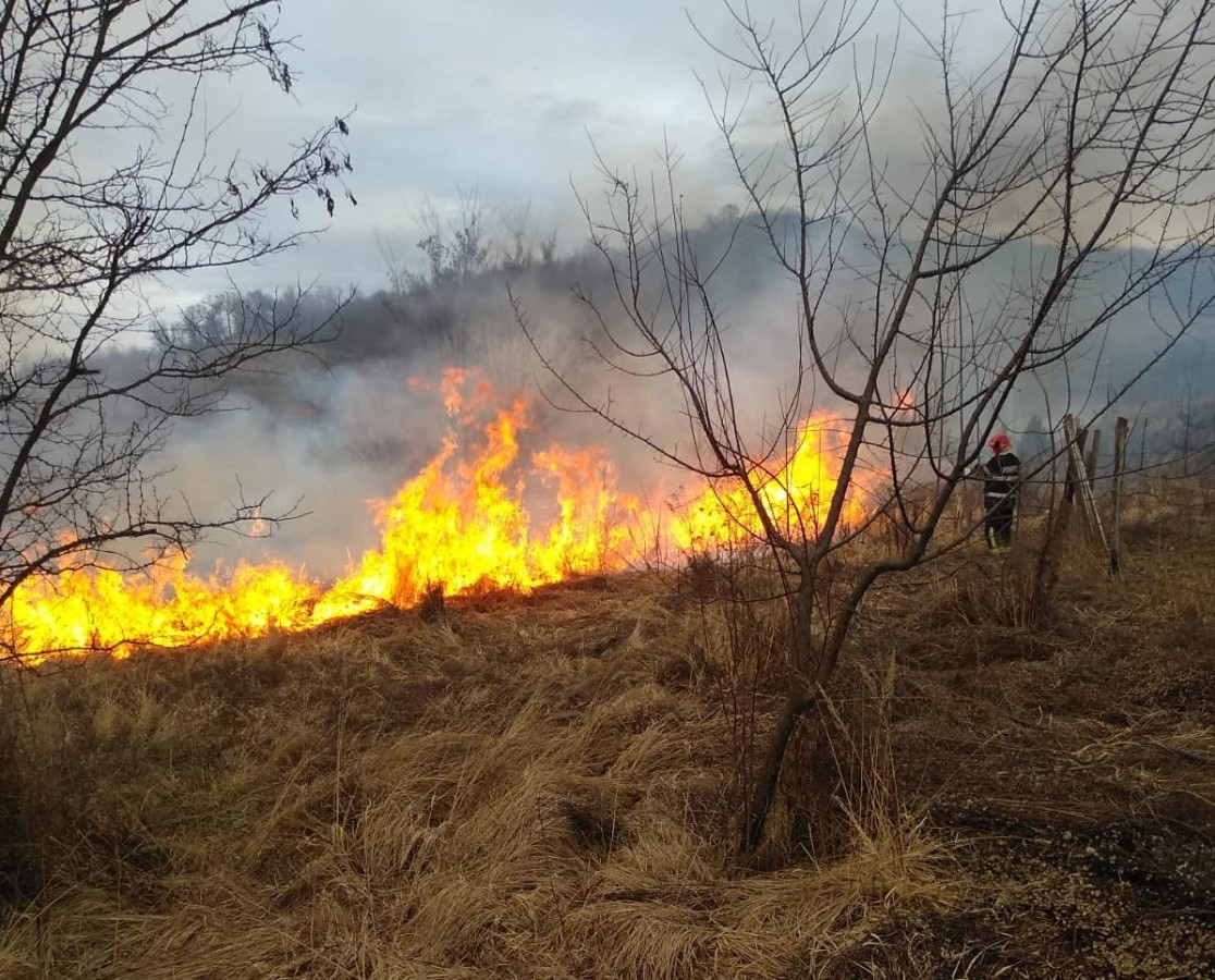 Actualizare Incendiu de vegetație uscată pe dealul Gușteriței. Au ars peste 35 de hectare
