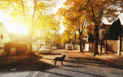 Agenții imobiliare din Sibiu - cum o alegi pe cea potrivită