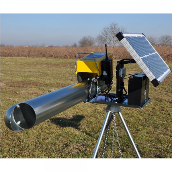 Aeroportul Sibiu cumpără opt tunuri împotriva păsărilor