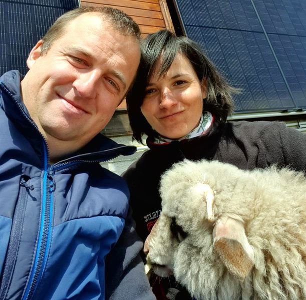 Doi sibieni au deschis o afacere inedită: Fac îngrășământ pentru legume din lână de oaie