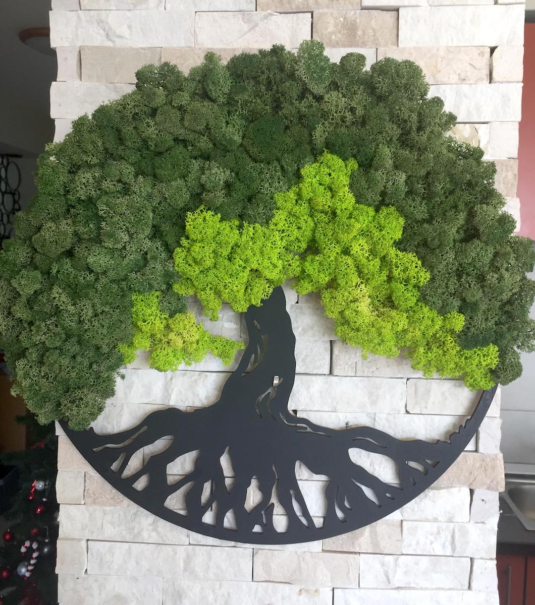 O sibiancă realizează ornamente cu licheni: „Ai o mică parte din natură în casă”