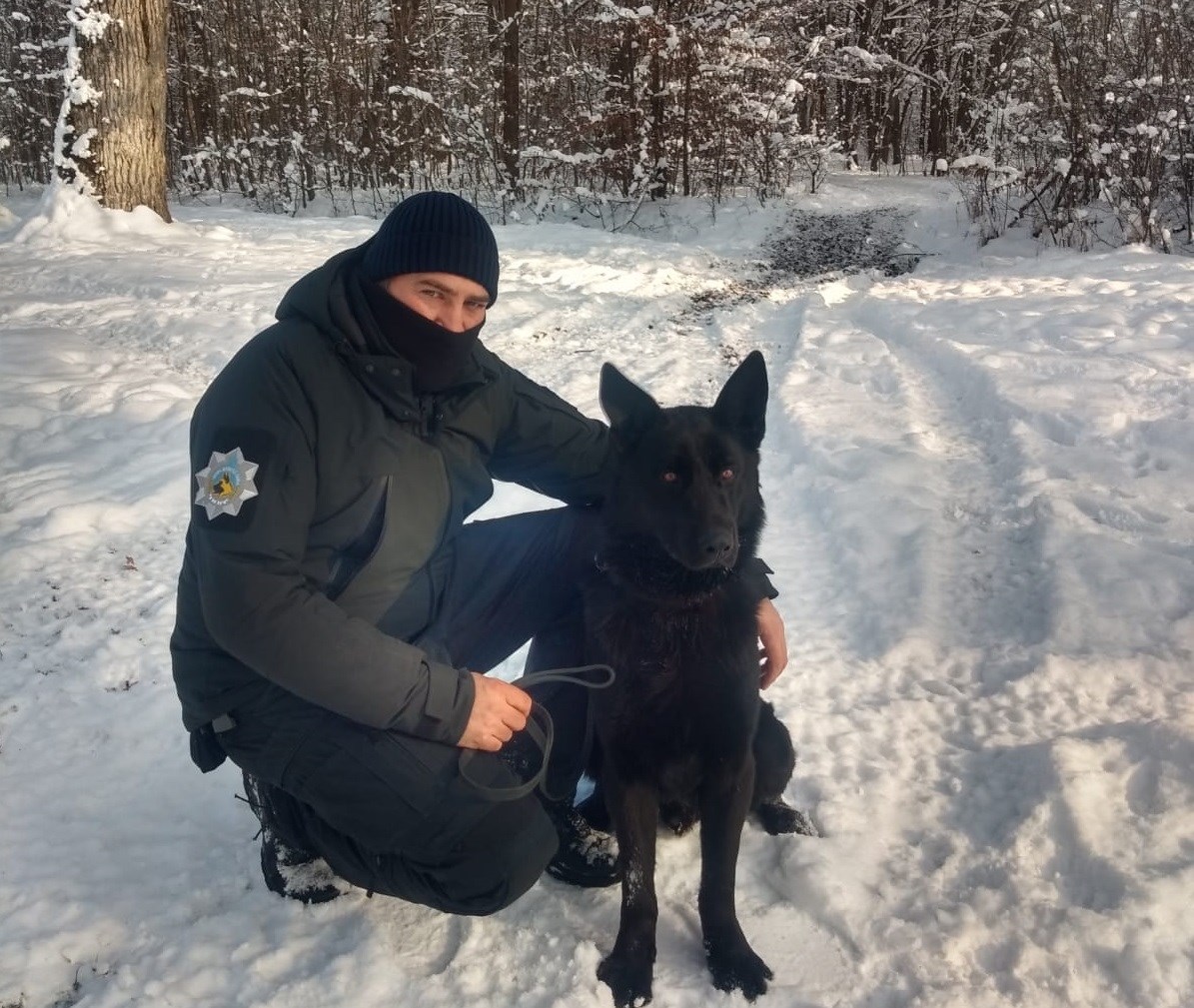 Bond, câinele detectiv: a găsit patru sibieni care au furat un porc