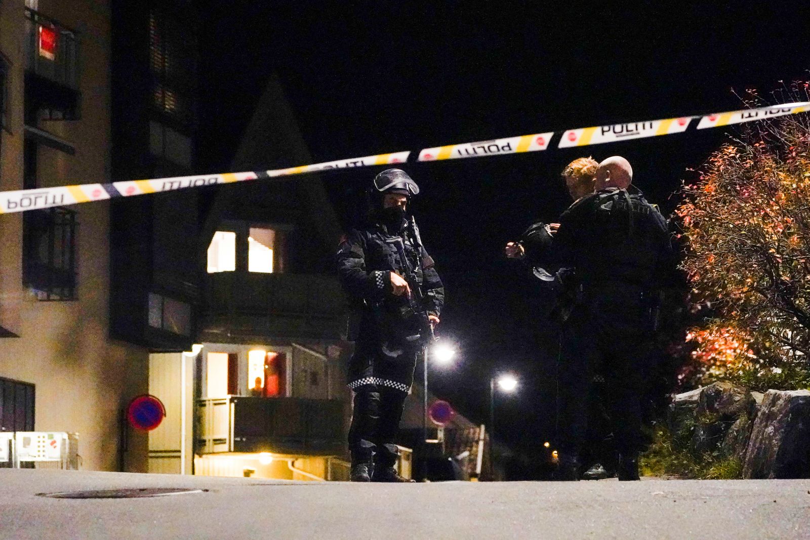 VIDEO Norvegia: Cinci morţi şi doi răniţi într-un atac cu arcul