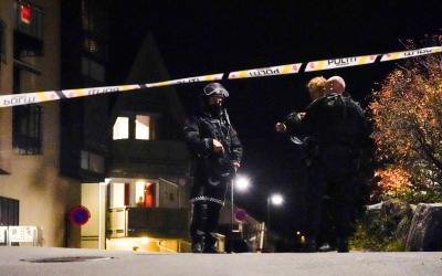 VIDEO Norvegia: Cinci morţi şi doi răniţi într-un atac cu arcul