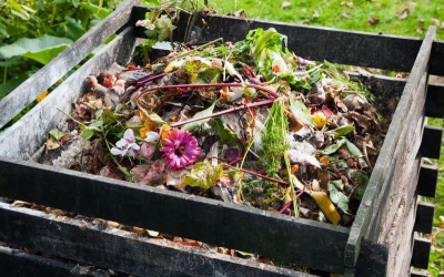 Deșeurile biodegradabile și compostul