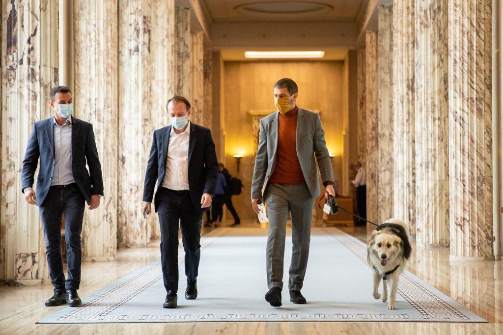 FOTO Prezență inedită la Palatul Victoria. Campanie națională de adopție pentru câinii fără stăpân