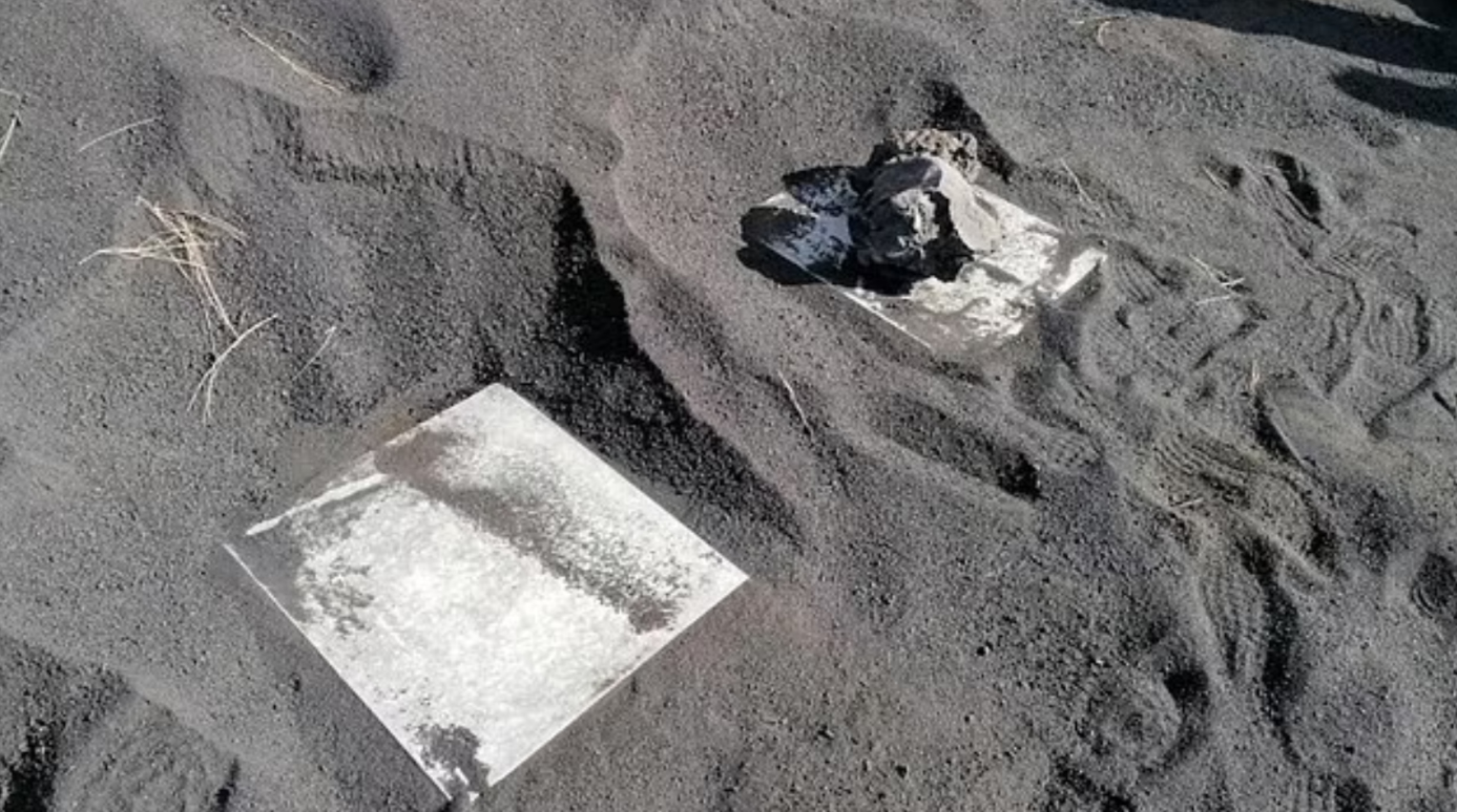 Mii de albine au supravieţuit 50 de zile sub cenuşa vulcanului din insula La Palma