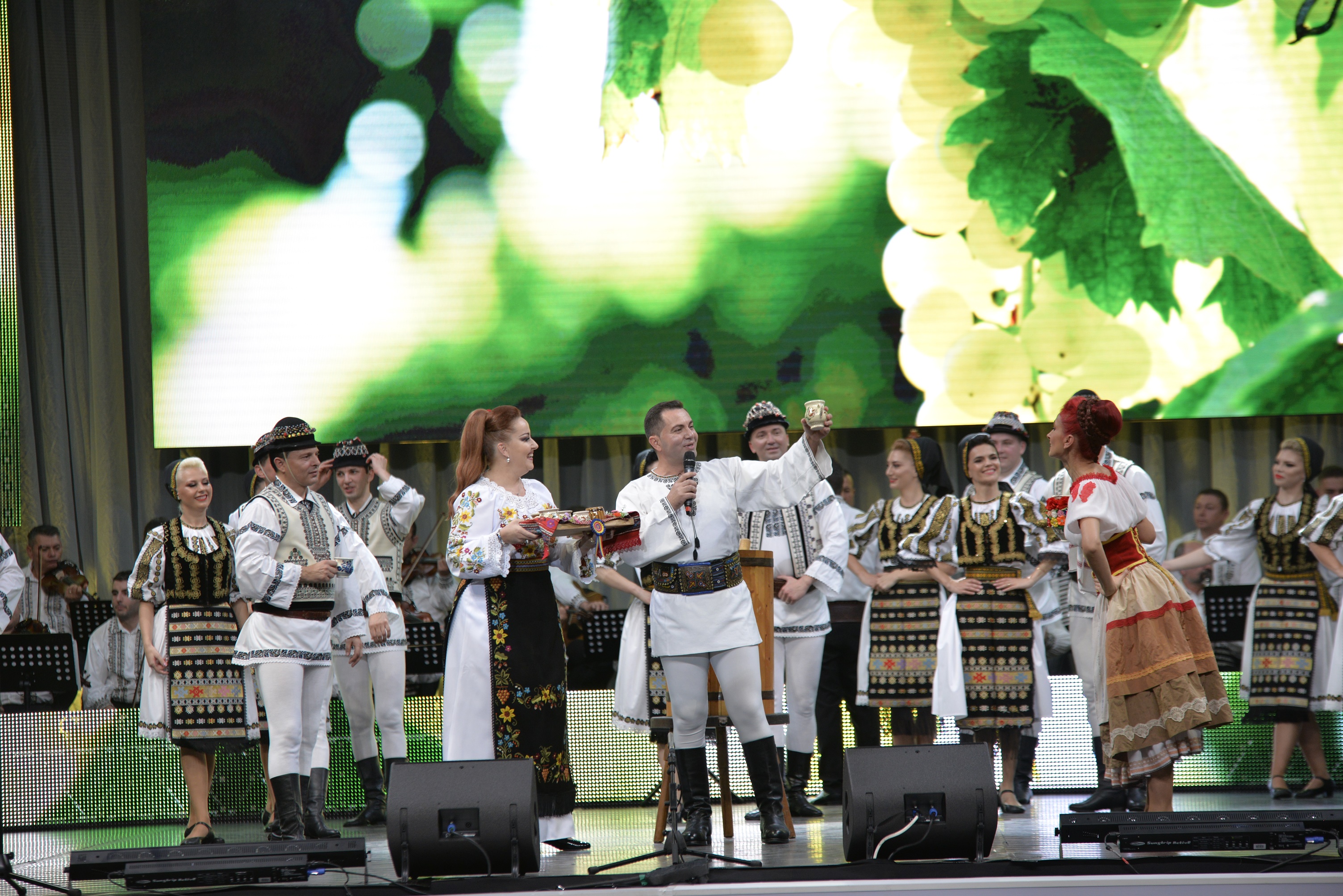 Mâine debutează ediţia cu numărul XXIII a Festivalului Național de Folclor „Ioan Macrea”