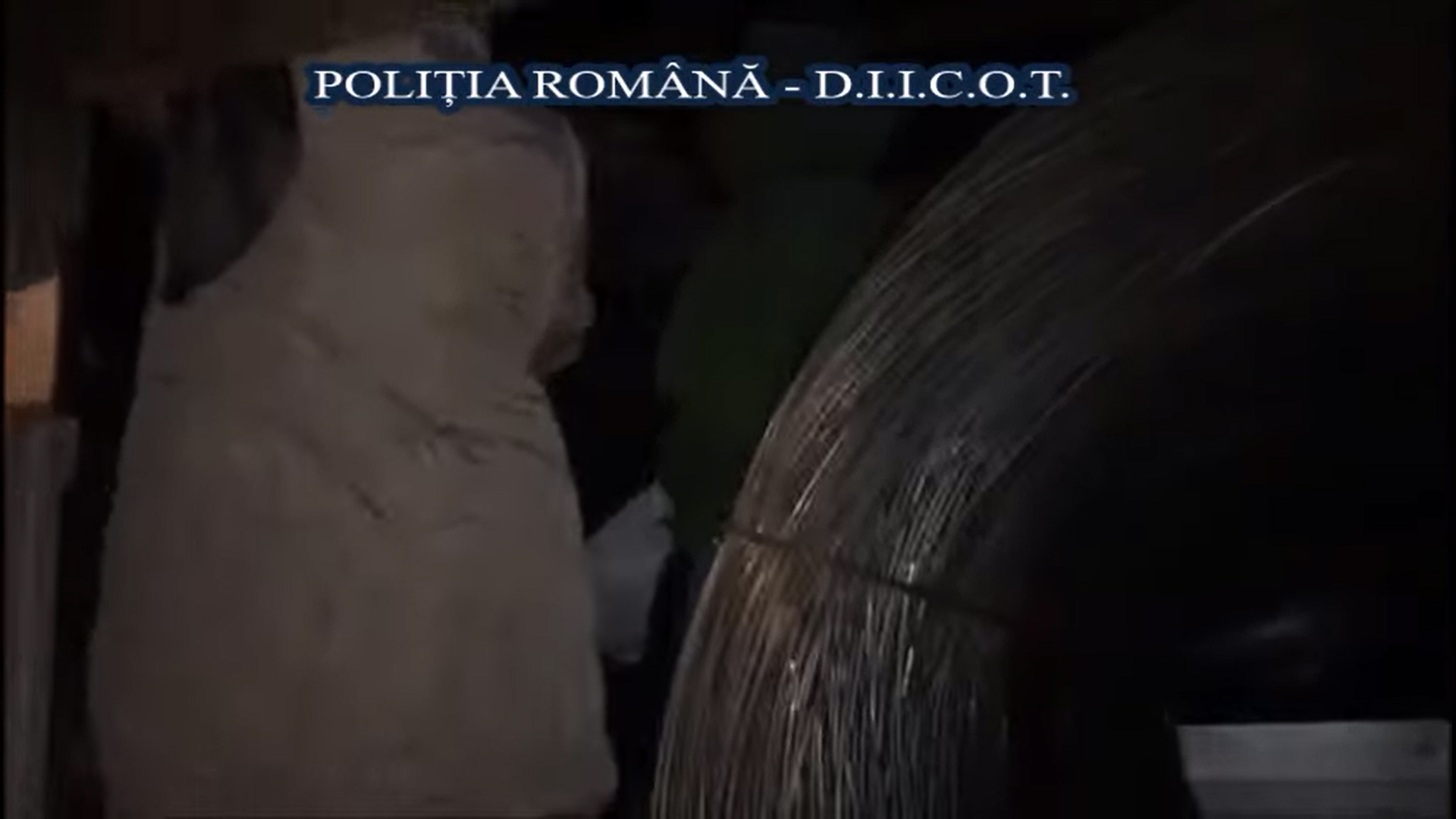 VIDEO. Descinderi la traficanții de migranți din Sibiu. Oamenii erau ascunși într-o cabană din Cristian, apoi urcați clandestin în TIR-uri