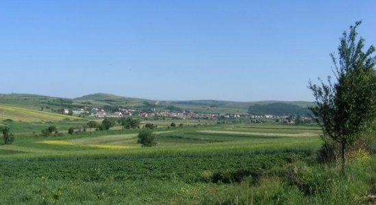 Primăria Loamneș amenajează un teren multifuncțional cu gazon sintetic