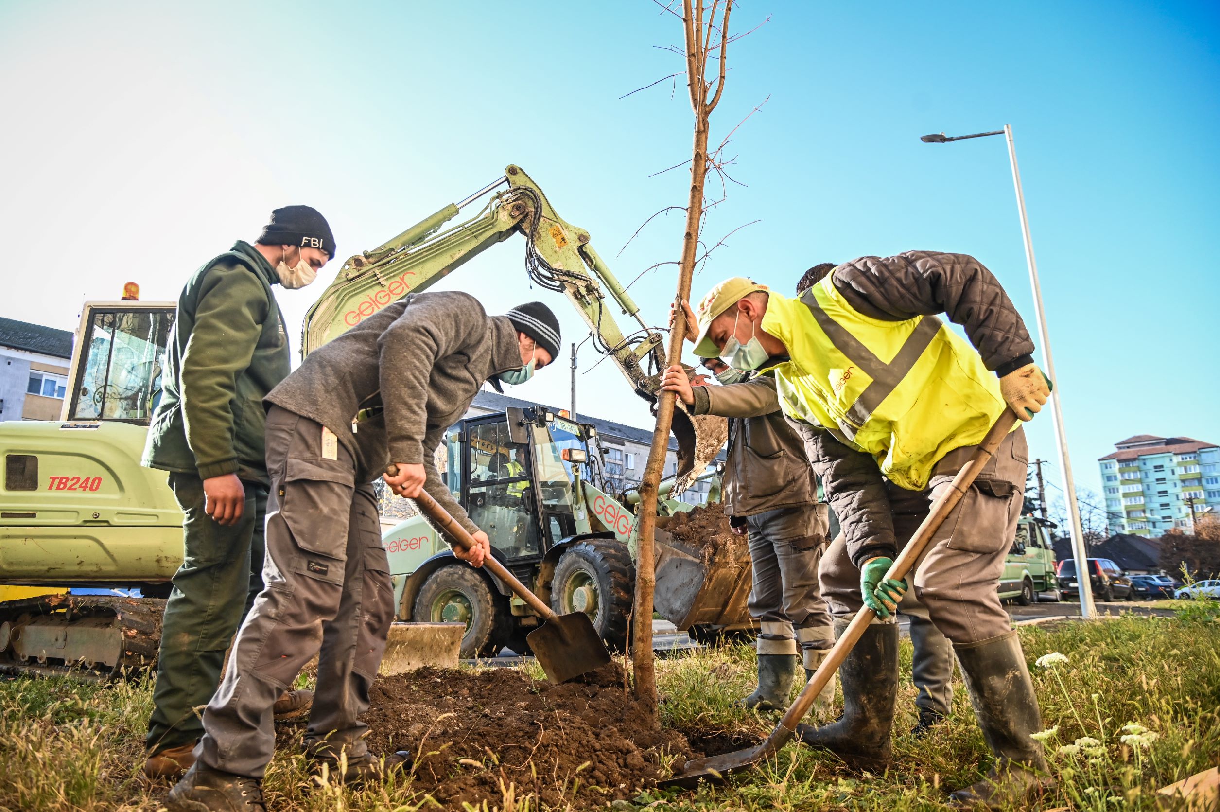 Primăria Sibiu plantează peste 650 de arbori în cartierele sibiene