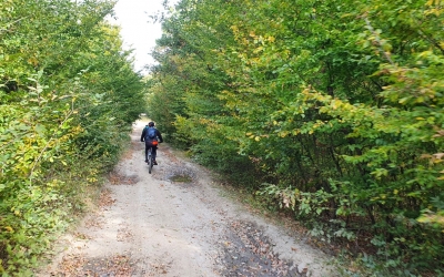 Judeţul Timiş, primul din ţară care va avea o strategie de cicloturism: Doar acele oraşe şi regiuni care sunt prietenoase bicicliştilor sunt capabile să atragă un număr mare de turişti străini