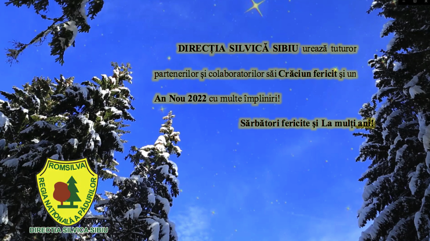 Mesajul Direcției Silvice Sibiu cu prilejul Sărbătorilor de iarnă