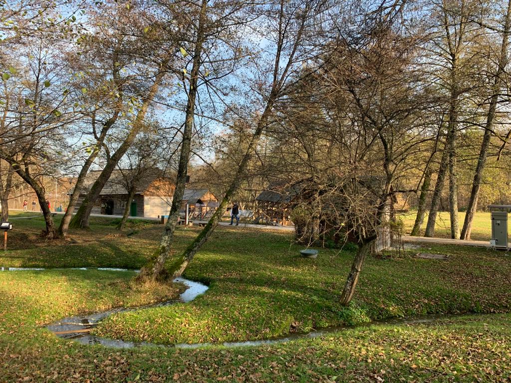 Muzeul ASTRA îi încurajează pe vizitatori să vină cu animalele de companie