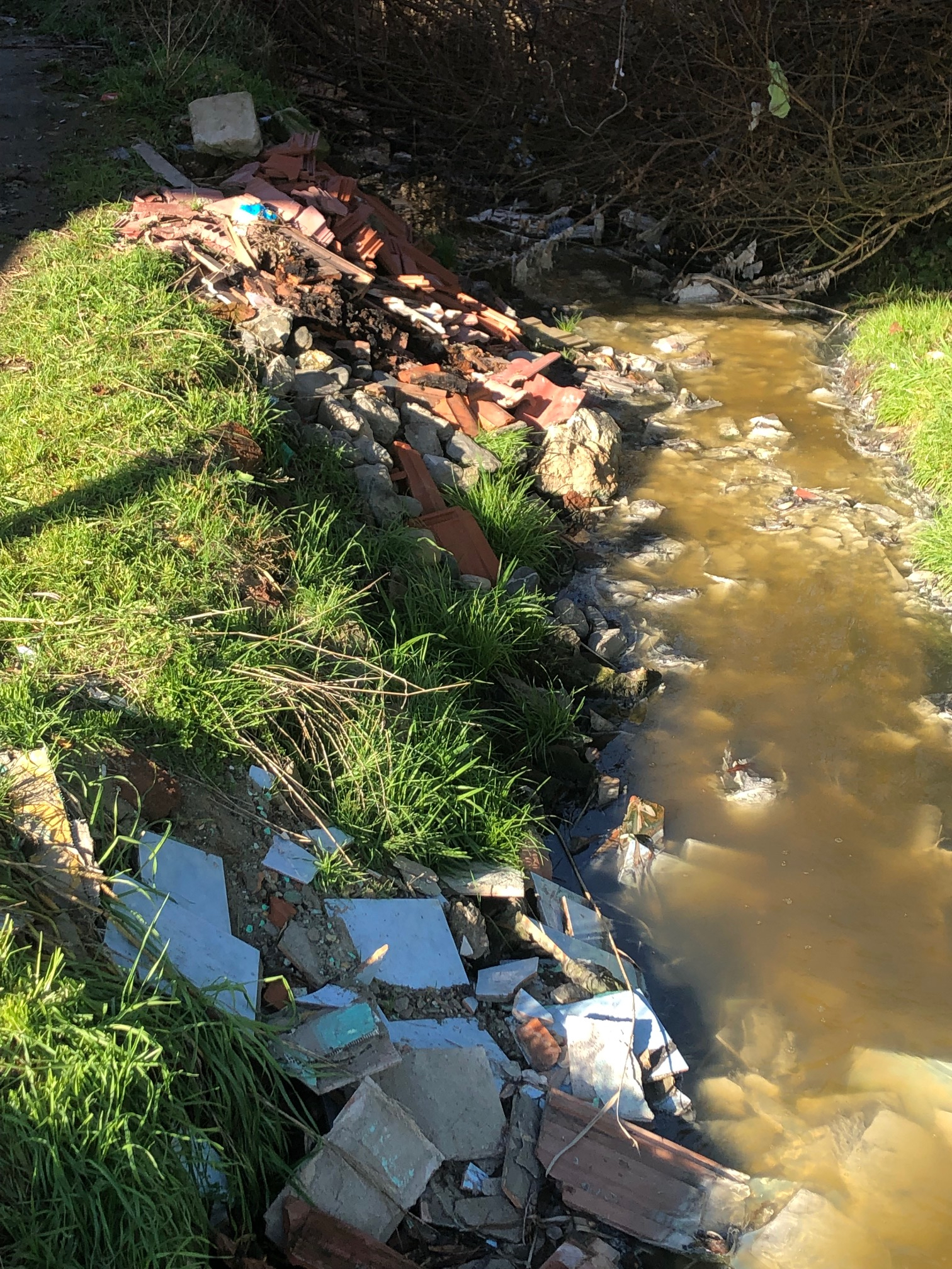 Poluare la Turnu Roșu. Brațul mort al Oltului, sit Natura 2000, transformat temporar într-o mare latrină