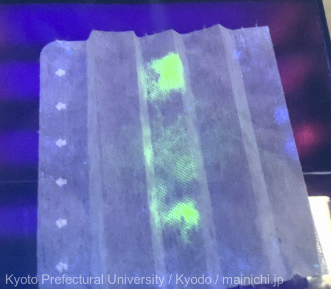 Cercetători japonezi au dezvoltat o mască care străluceşte când detectează COVID-19