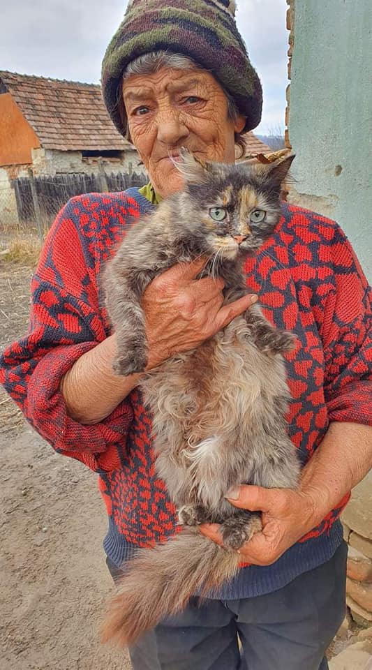 Animalele îngrijite până de curând de o familie nevoiașă din Sibiu au nevoie de ajutor. „Chiar dacă nu aveau mâncare, nu plecau de lângă ei”