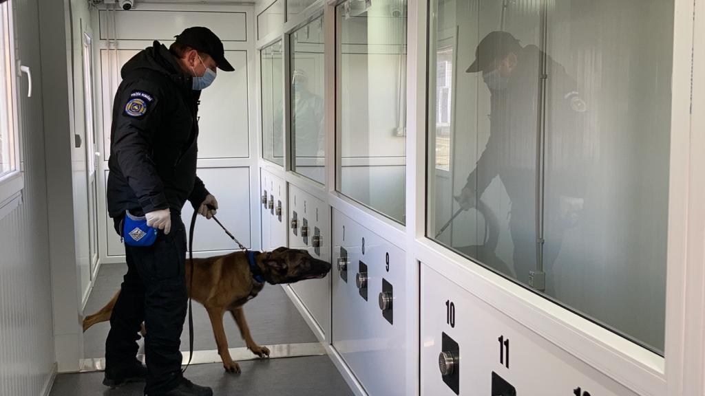 VIDEO-Cum sunt antrenați câinii la Sibiu să detecteze bolnavii de COVID. „Am ales cele mai bune exemplare”