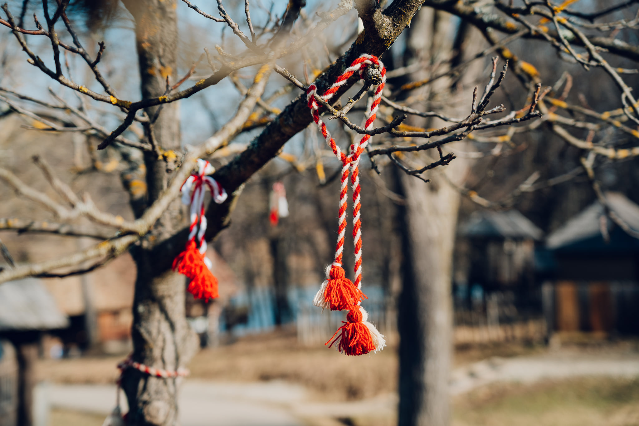 Pom cu mărțișoare puse de vizitatori în Muzeul Astra