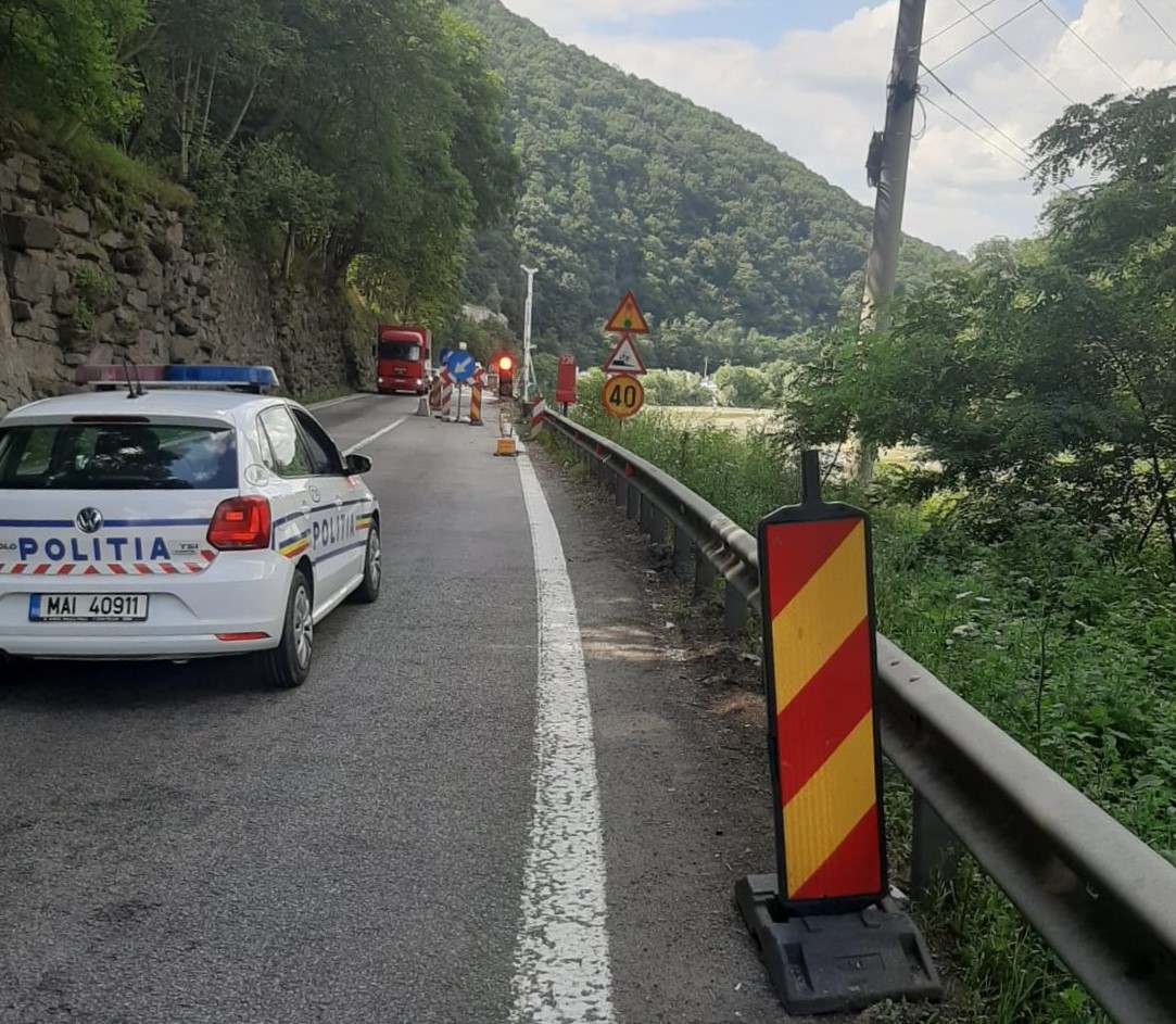 Un brad căzut a blocat traficul pe Valea Oltului