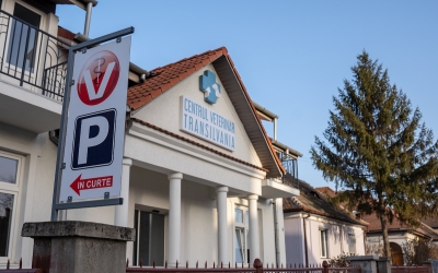 Un cuplu din Sibiu a renunțat la Germania pentru România și a deschis cea mai modernă clinică veterinară din oraș. „Mereu am știut că o să ne întoarcem în țară”