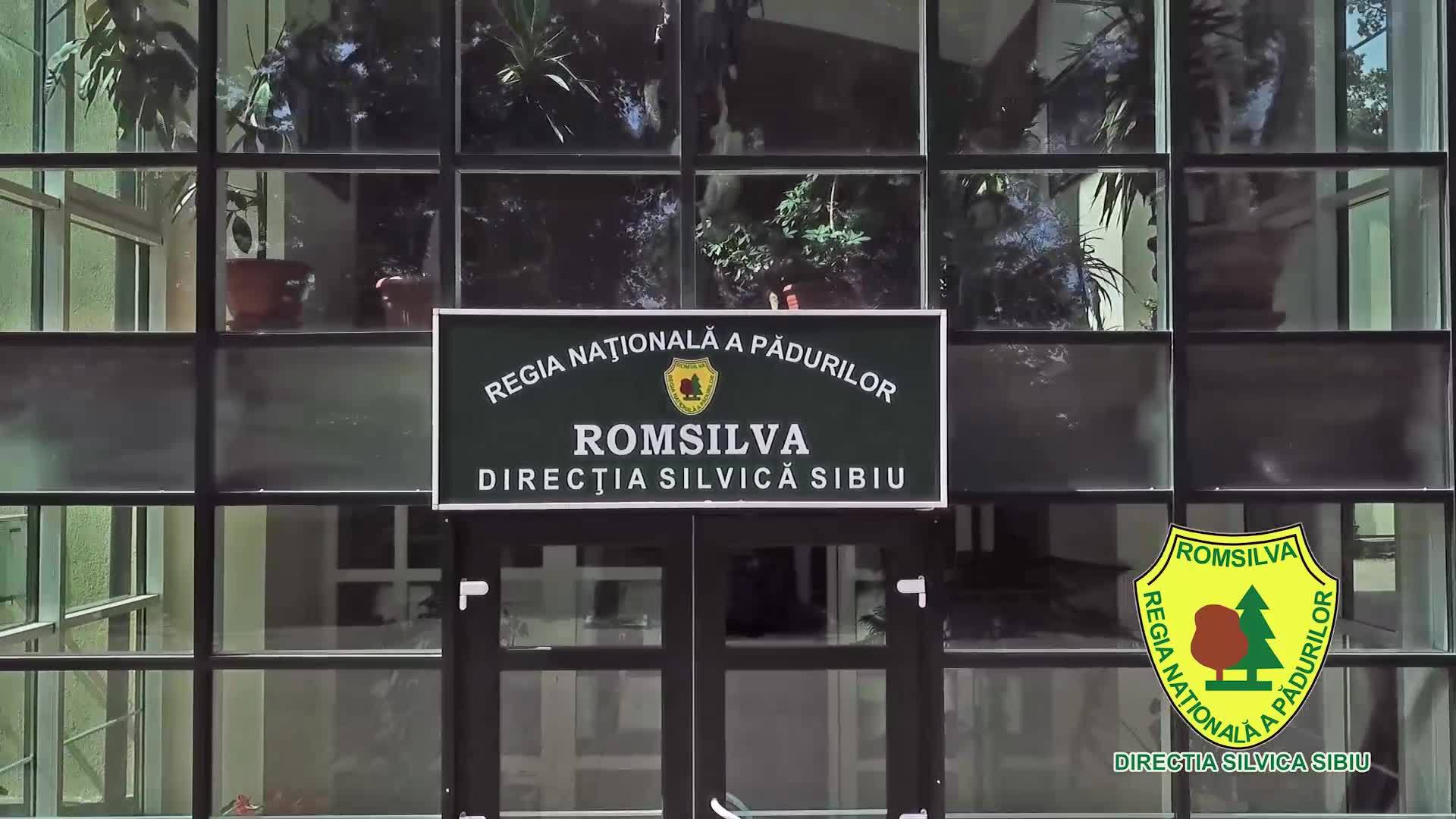 „Luna plantării arborilor” la Direcția Silvică Sibiu