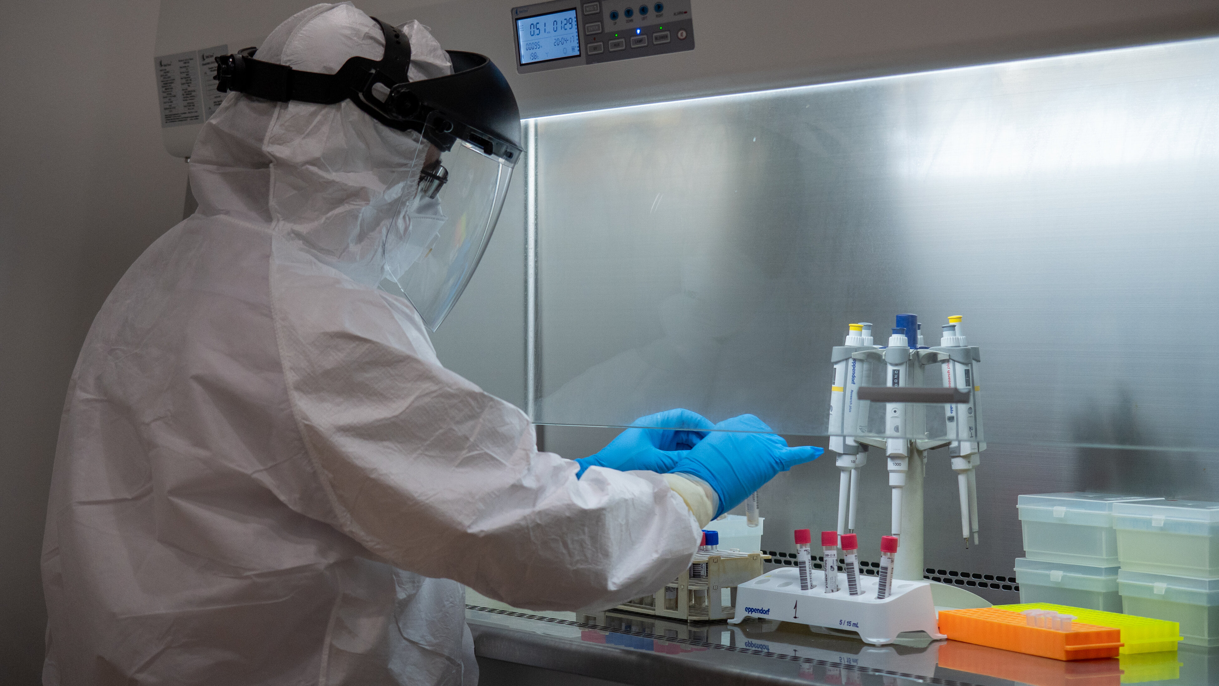 MedLife: patru cazuri de infectare cu tulpina britanică, identificate la Sibiu