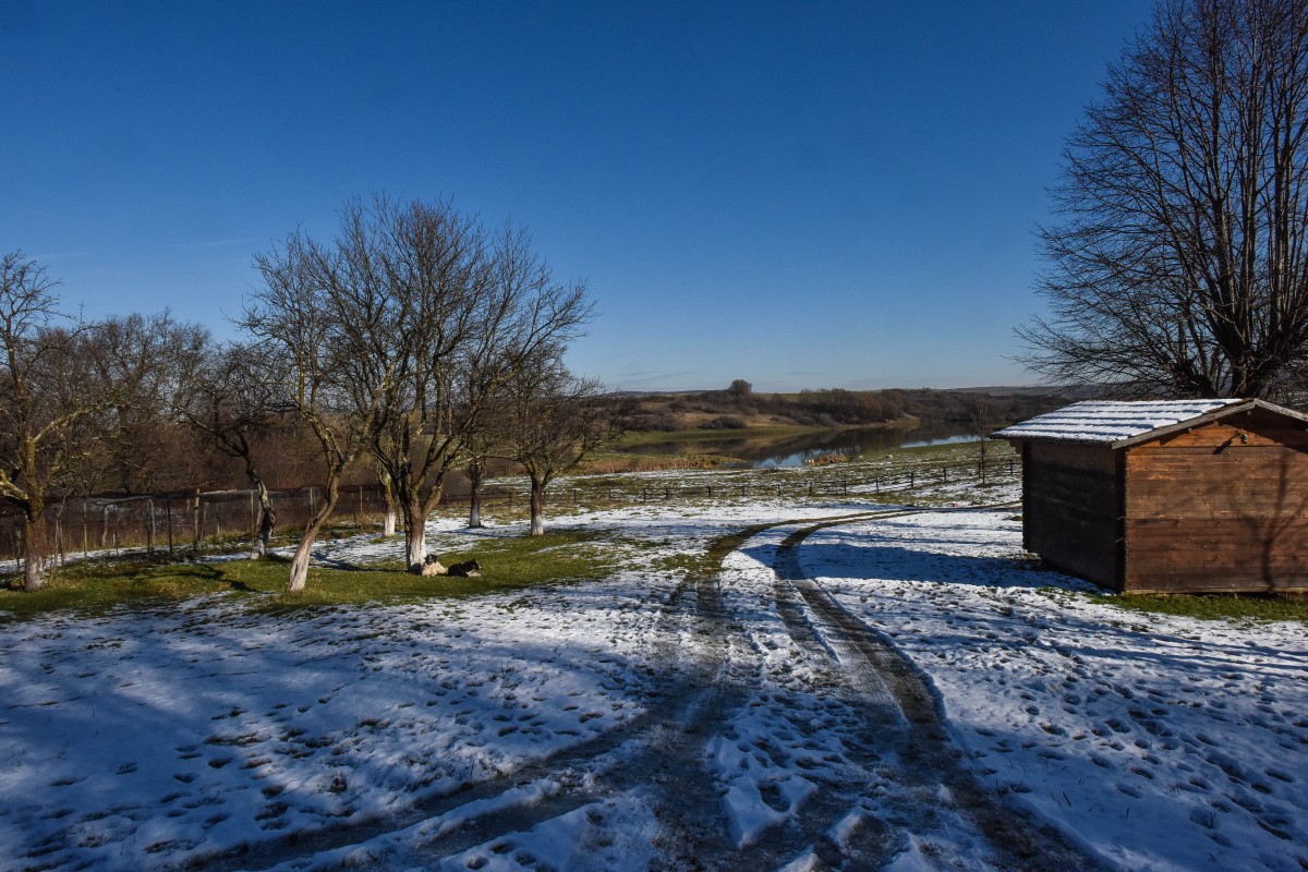 Boița și Micăsasa: primele 64 de case izolate care vor primi, gratis, energie electrică de la panouri fotovoltaice