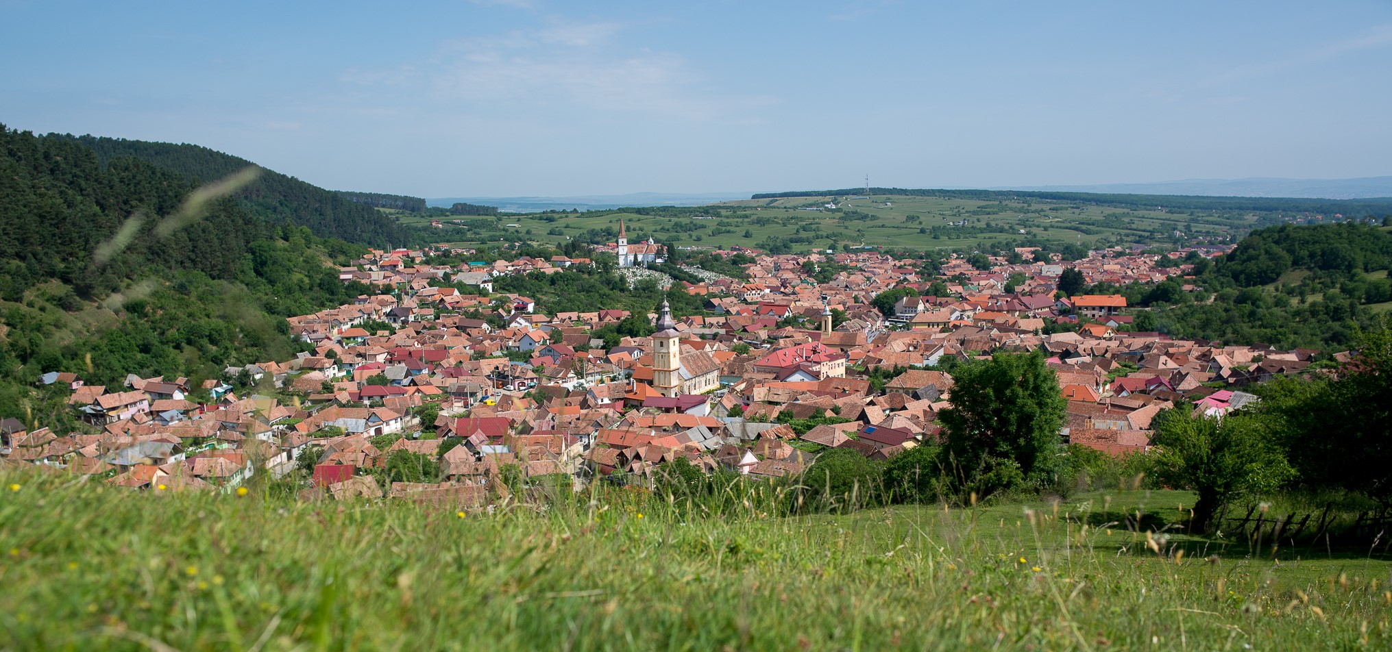 Consiliul Local Rășinari organizează concurs pentru postul de administrator unic al Societății Comerciale Gospodărire Comunală Locală