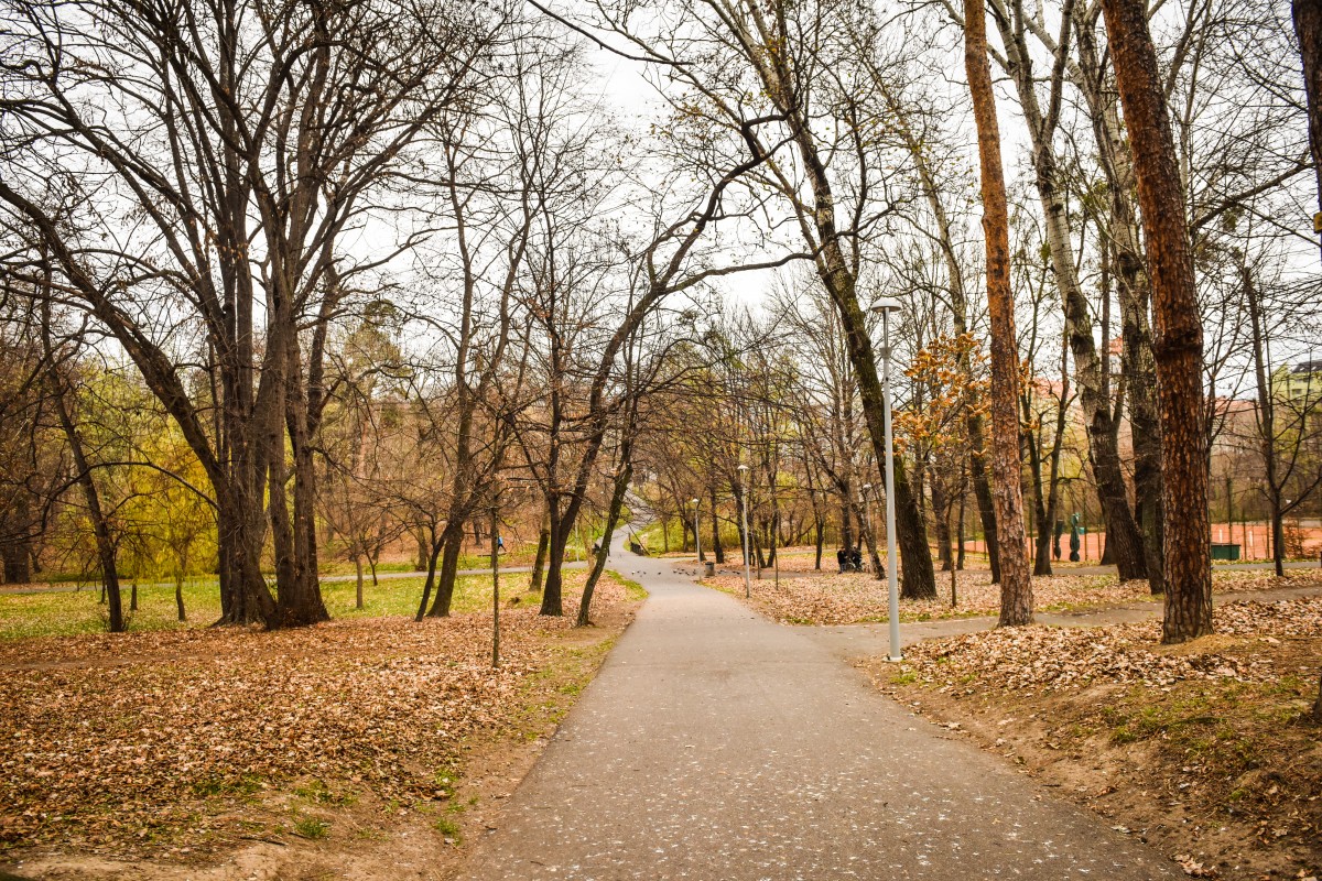ACTUALIZARE Persoană în stare gravă în Parcul Sub Arini