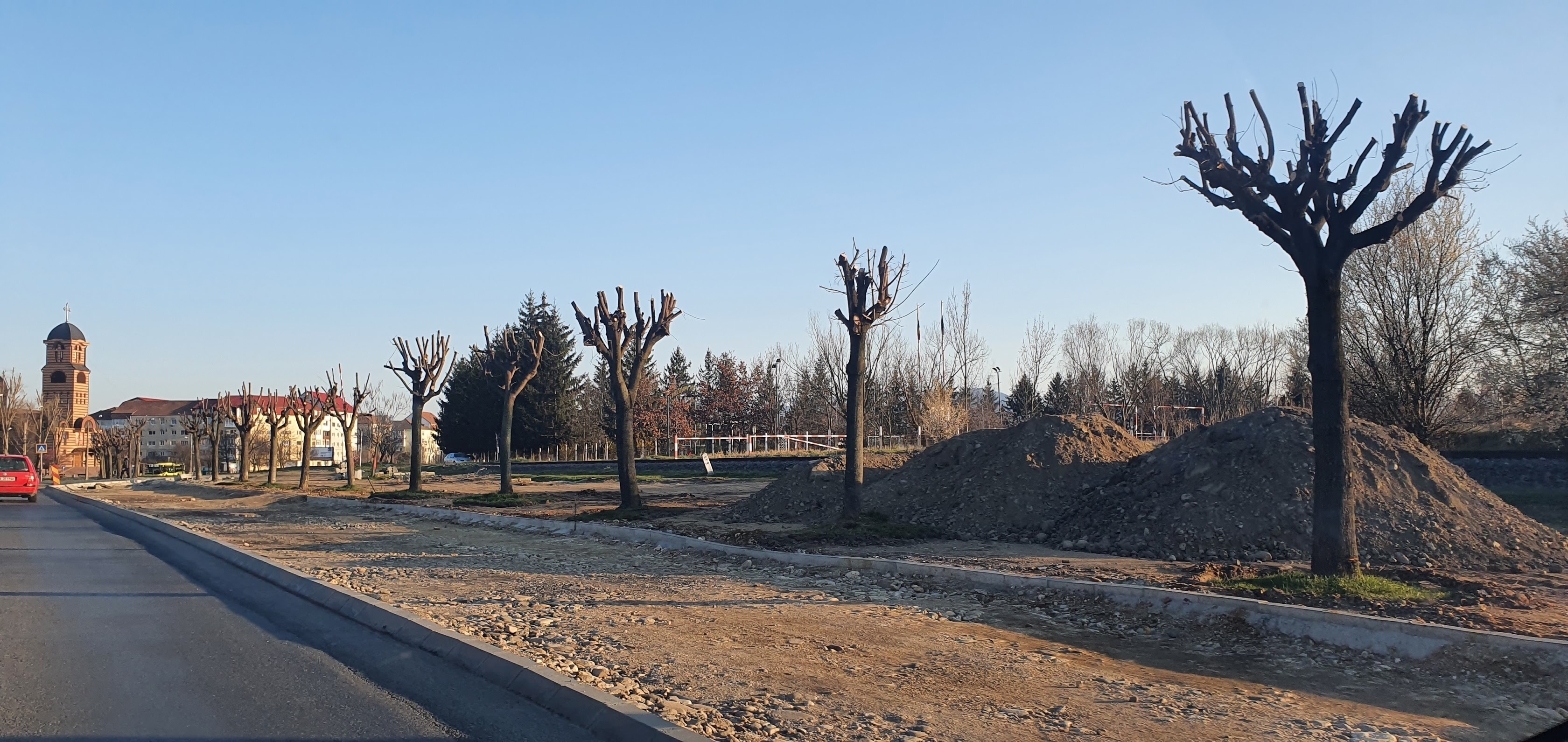 VIDEO Cum au ajuns zeci de copaci de pe Dumbrăvii în cimitir și pe strada Maramureșului. ”Din păcate, nu avem cultura transplantării”