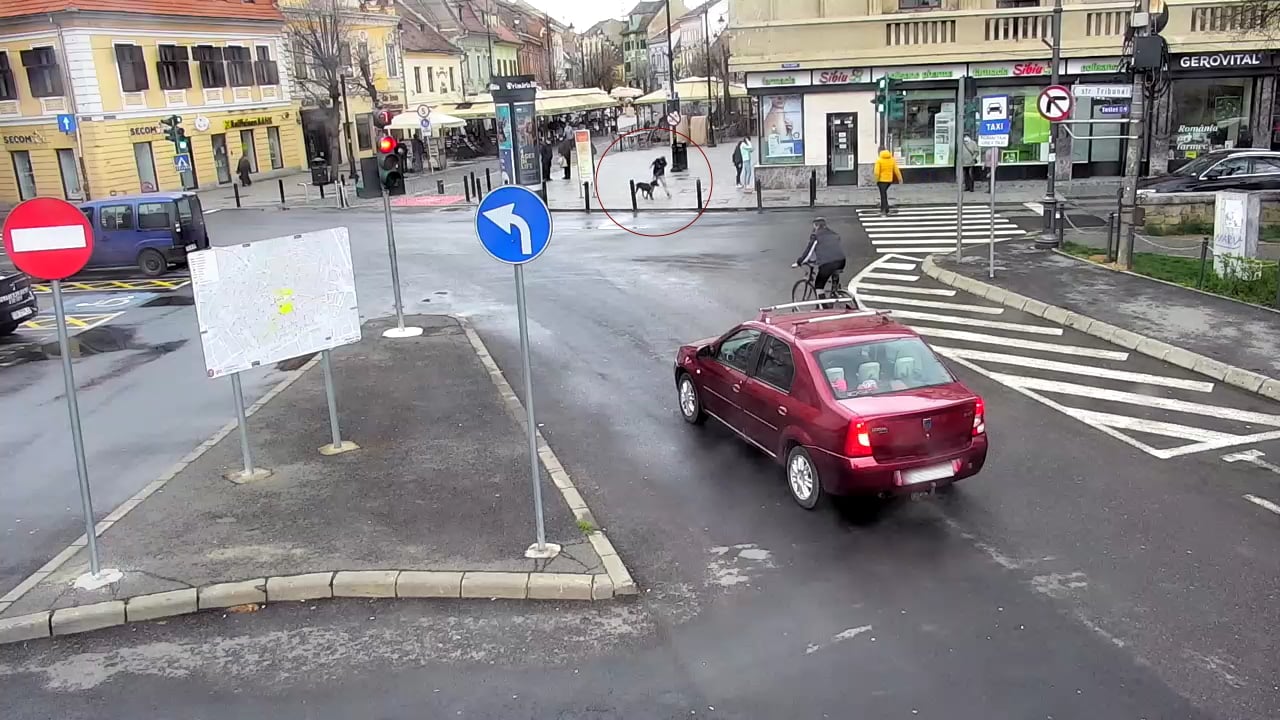 Proprietarul câinelui care a mușcat o fetiță, găsit cu ajutorul camerelor de supraveghere