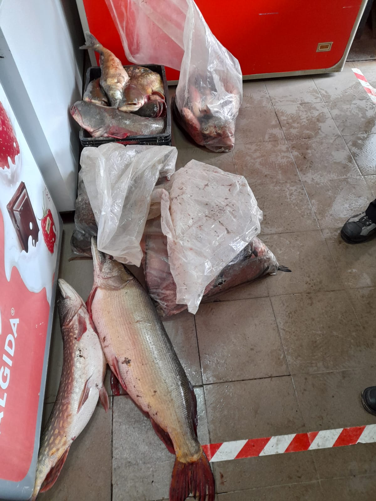 ANPC recomandă atenție sporită la cumpărarea produselor din pește