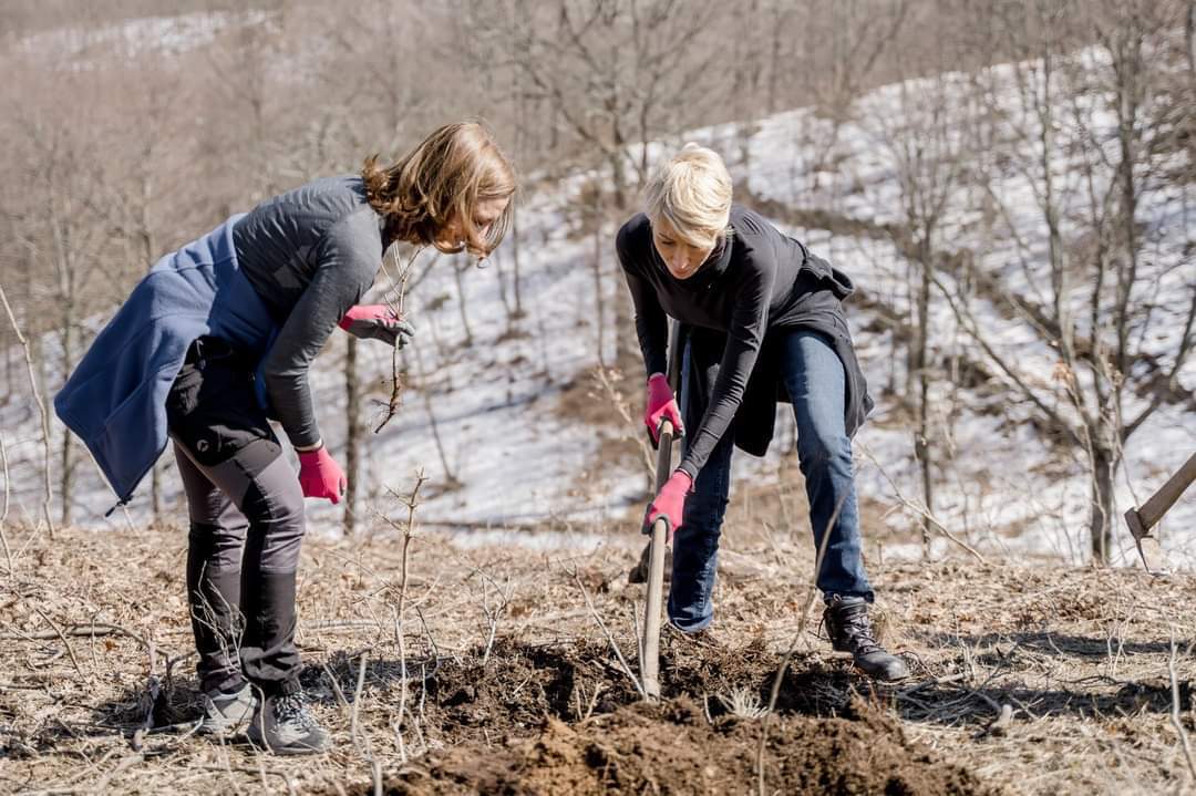 IPJ Sibiu, precizări după amendarea Ralucăi Turcan: Sancțiunile pot fi acordate și după 6 luni de la faptă. Se pot primi și sesizări de la cetățeni